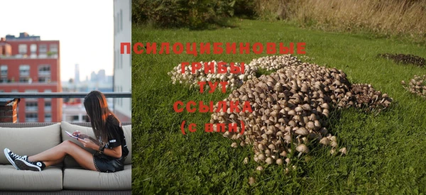 COCAINE Каменногорск