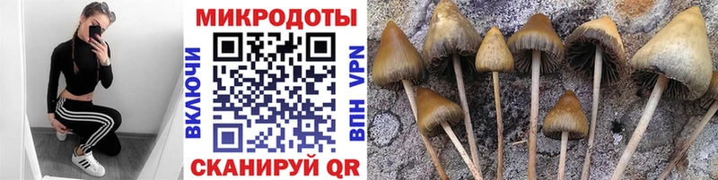 Галлюциногенные грибы MAGIC MUSHROOMS  дарк нет состав  Кирс 
